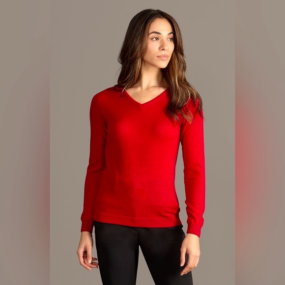 Express Sweaters Express Extra Fine Merino Wool Red Vneck Size L